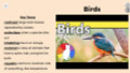 Birds Informational Text Reading Passage and Activities
