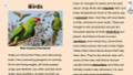 Birds Informational Text Reading Passage and Activities