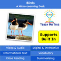 Birds Informational Text Reading Passage and Activities