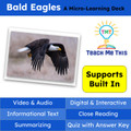 Bald Eagles Informational Text Reading Passage and Activities