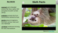 Sloth Informational Text Reading Passage and Activities