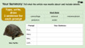 Reptiles and Amphibians Informational Text Reading Passage and Activities