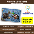 Ducks Informational Text Reading Passage and Activities
