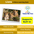 Lions Informational Text Reading Passage and Activities