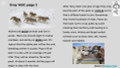 Wolves Informational Text Reading Passage and Activities