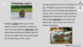 Hedgehogs Informational Text Reading Passage and Activities