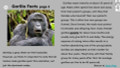Gorillas Informational Text Reading Passage and Activities