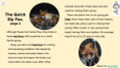 Foxes Informational Text Reading Passage and Activities