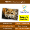 Foxes Informational Text Reading Passage and Activities