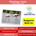 Flamingo Informational Text Reading Passage and Activities