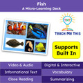 Fish Informational Text Reading Passage and Activities