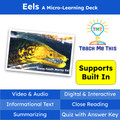 Eels Informational Text Reading Passage and Activities