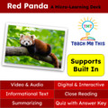 Red Pandas Informational Text Reading Passage and Activities