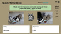 Raccoons Informational Text Reading Passage and Activities