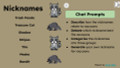 Raccoons Informational Text Reading Passage and Activities