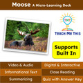 Moose Informational Text Reading Passage and Activities