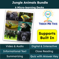 Jungle Animals Informational Text Reading Passages and Activities BUNDLE