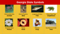 Georgia (50 States and Capitals) Informational Text and Activities