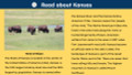 Kansas State (50 States and Capitals) Informational Text and Activities