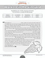 Bible Parable: Workers in the Vineyard workbook