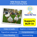 Wild Goose Chase Figurative Language Reading Passage and Activities