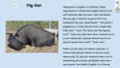 Pig Out Figurative Language Reading Passage and Activities