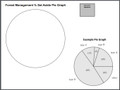 Succession: Forest Management