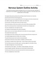 Nervous System Outline Activity