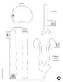 GIANT Human Body Systems STEM Project