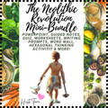 The Neolithic Revolution Lesson Bundle