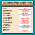 Algebra Vocabulary - Digital Lesson