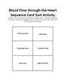 Heart Blood Flow and Conduction Sequence Card Sort Activity Set