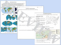 World Geography Map Bundle World Geography Map Bundle