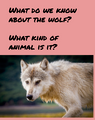 BIG BAD WOLF IS GOOD: READING LESSONS WITH EXTENSION ACTIVITIES