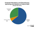 Federal Deficit Simulation and Activity:  Can You Balance the Federal Budget?