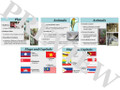 Southeast Asia Geography Bundle