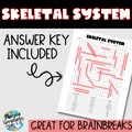 Skeletal System Word Search 