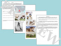 Texas History Activities Bundle from Regions to the Republic