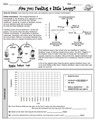 Homeostasis: Are you Feeling a little Loopy?