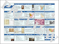 The Articles of Confederation PowerPoint and Note Guide