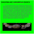 ECOSYSTEMS UNIT ASSESSMENT & PROJECTS (5TH GRADE)