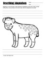 Animal Adaptations on the Savanna Activities and Worksheets