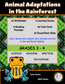 Animal Adaptations in the Rainforest Habitat Activities and Worksheets