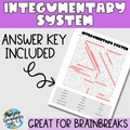 Integumentary System Word Search 