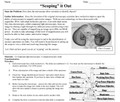 Microscopes: Scoping it Out