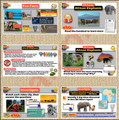 The Ivory War in Africa 6-E Lesson | Elephant Poaching and Conservation | Google