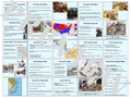 Imperialism PowerPoint and Note Guide for US History