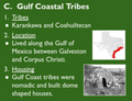 Native Texan Culture Groups Notes