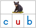 CVC WORD Puzzles