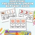 Identifying the Digestive System Matching Cards